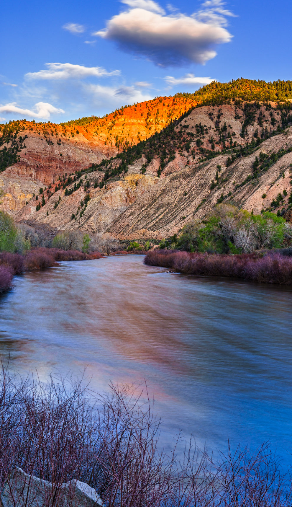 Colorado River
