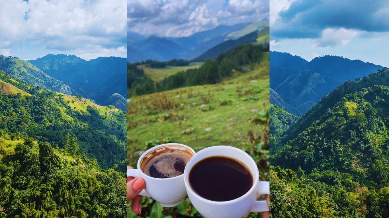 Coffee affiliate program background