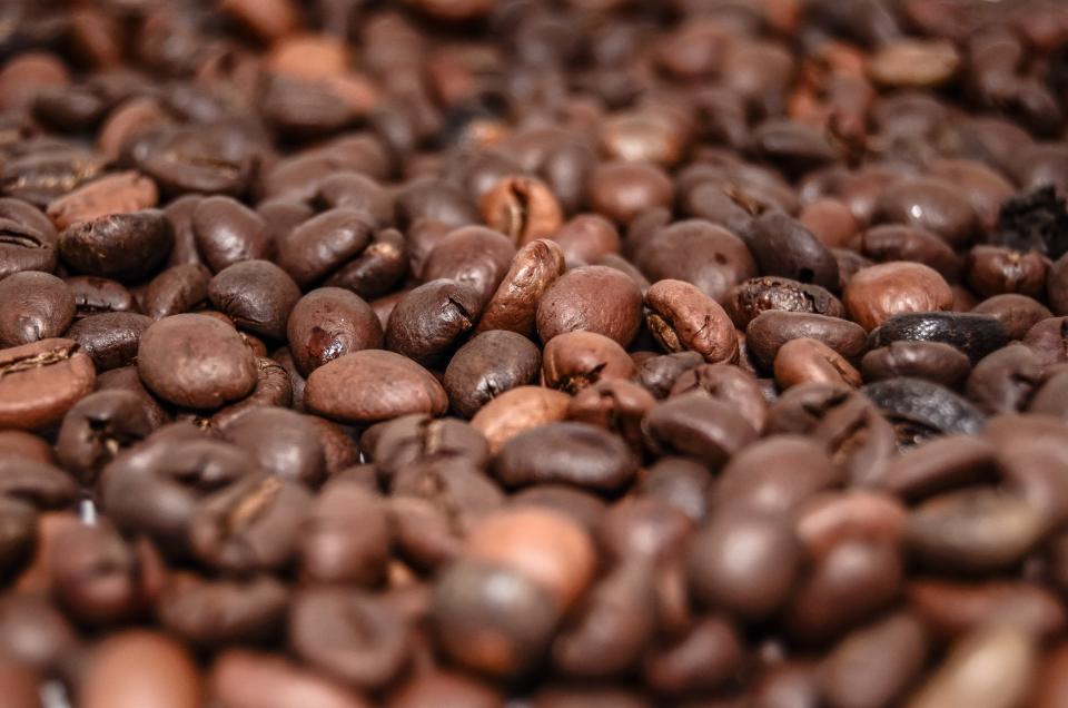 Mountain coffee farms