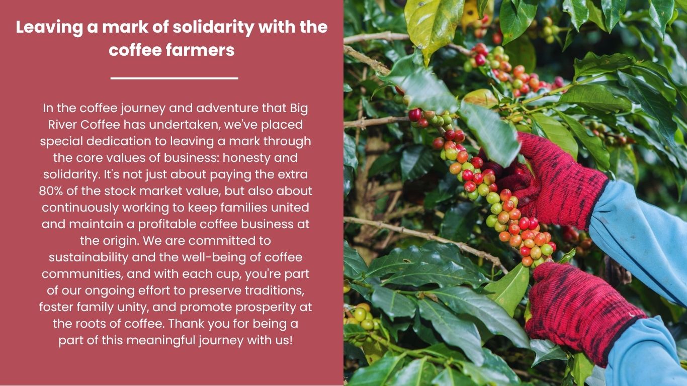 Solidarity message